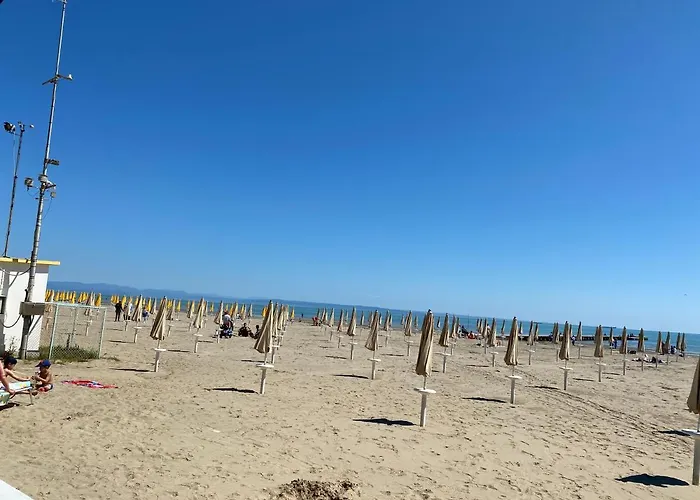 Rouse - Avanti Savoia *