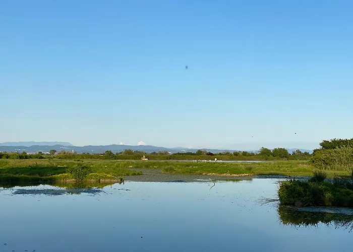 Rouse - Avanti Savoia Apartment Grado